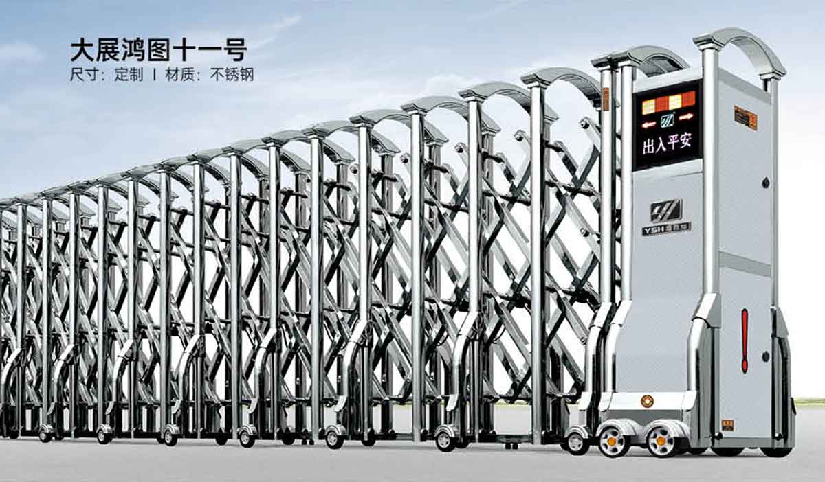 大展鸿图十一号