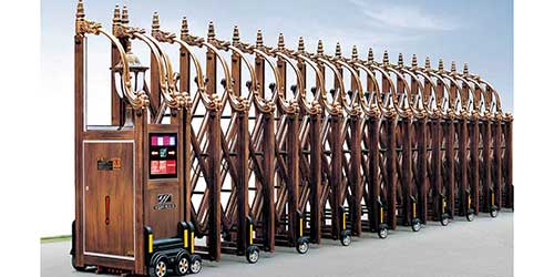 其他 - 东方神龙网花一号