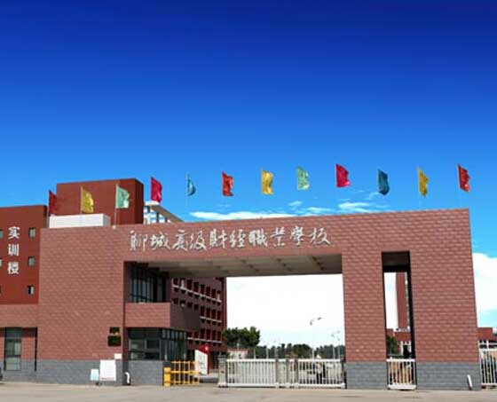 聊城高级财经学校电动伸缩门案例 - 中出网-智能出入口与停车充电门户