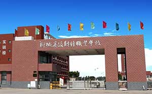 聊城高级财经学校电动伸缩门案例