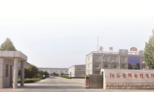 阳谷鑫辉电缆集团伸缩门案例