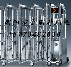 精钢门309电动伸缩门