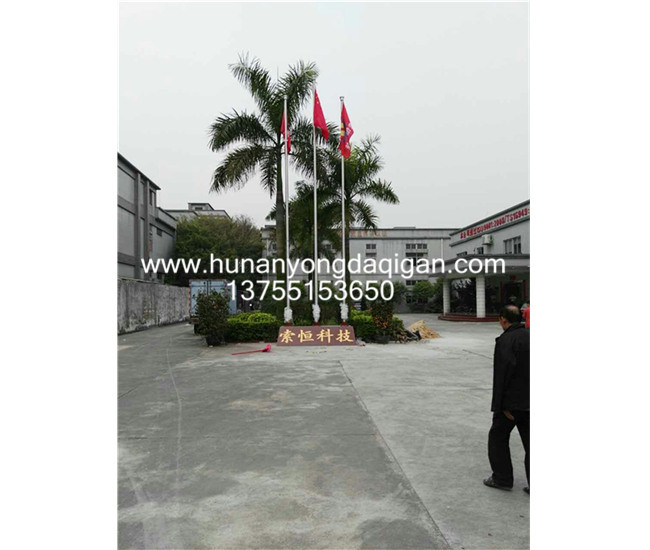 东莞厚街索恒科技有限公司旗杆案例 - 中出网-智能出入口门户