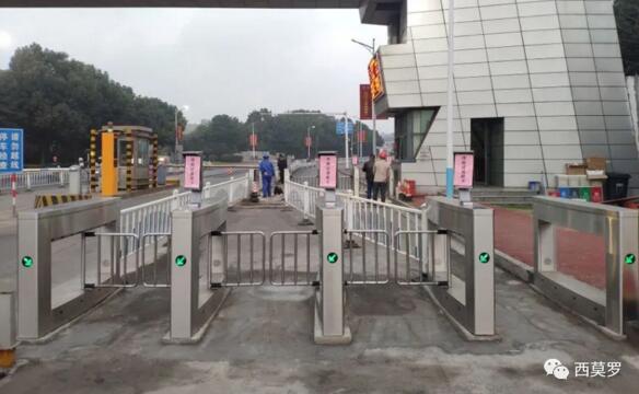 南京钢铁-人脸识别户外摆闸