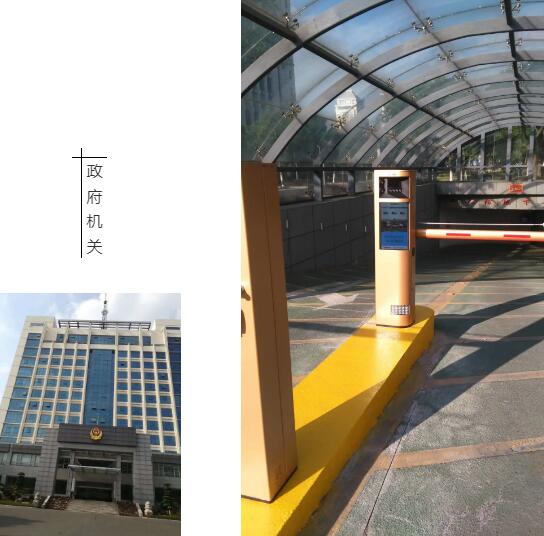 蓝卡政府机关案例