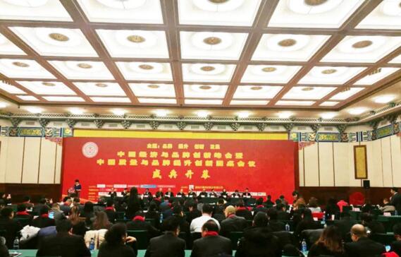 狄耐克副总经理侯宏强在全国政协礼堂出席领奖