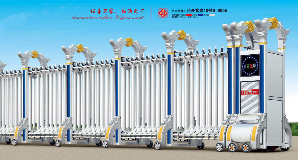 花开富贵10号B-9005