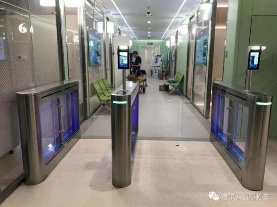 道尔豪华室外防撞摆闸