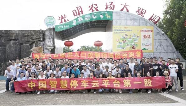 道尔员工2019年中拓展训练