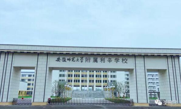 安徽师范大学附属利辛学校