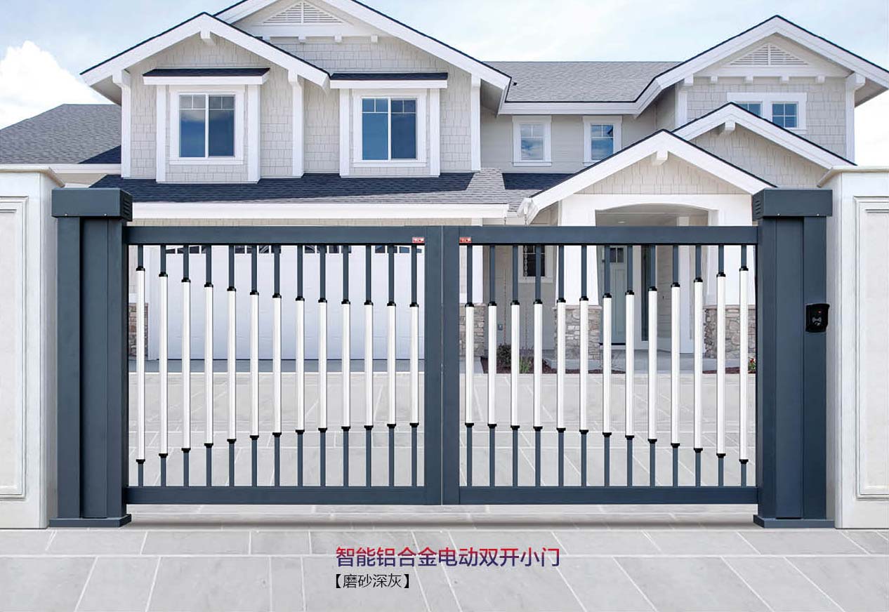 智能铝合金电动双开小门 SK-02GY