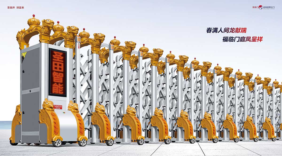 ST龙凤呈祥（金色+银色）