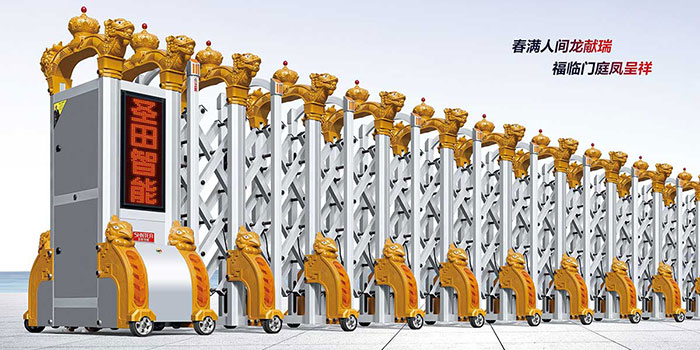 其他 - ST龙凤呈祥（金色+银色）