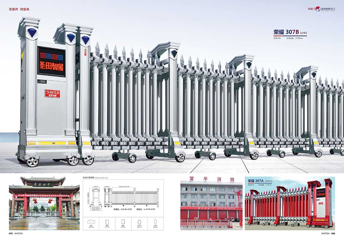 其他 - 荣耀 307B   荣耀 307A