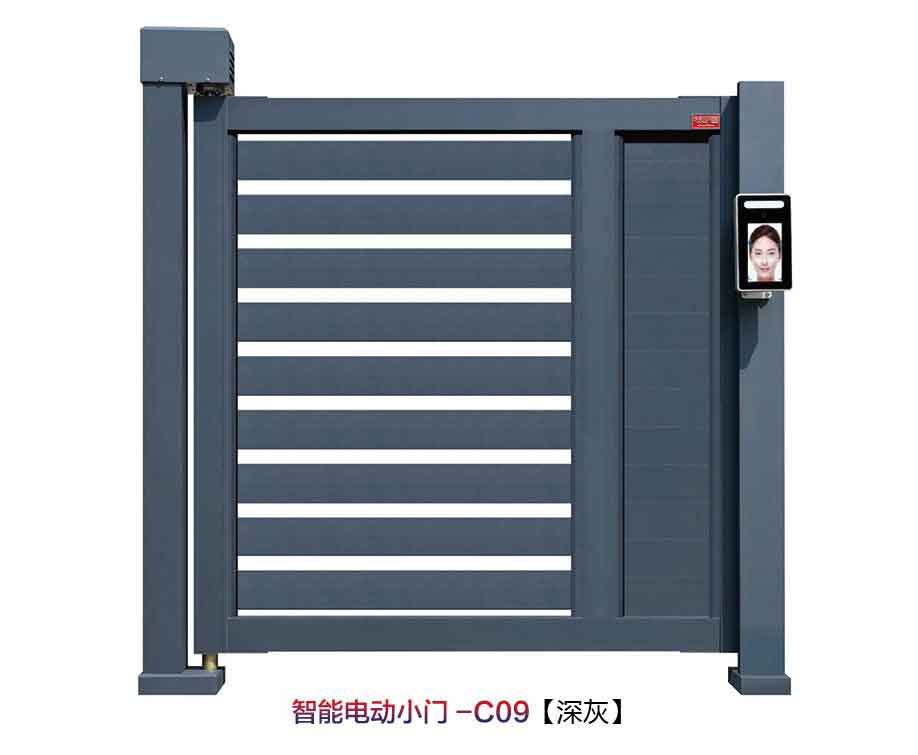 其他 - 智能电动小门C09