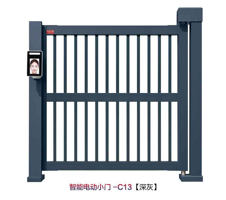 智能电动小门C13