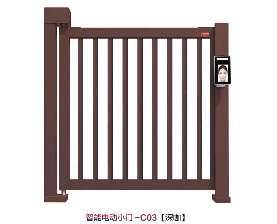 其他 - 智能电动小门C03