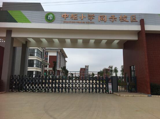 丽水出安智能伸缩门点缀中枢小学