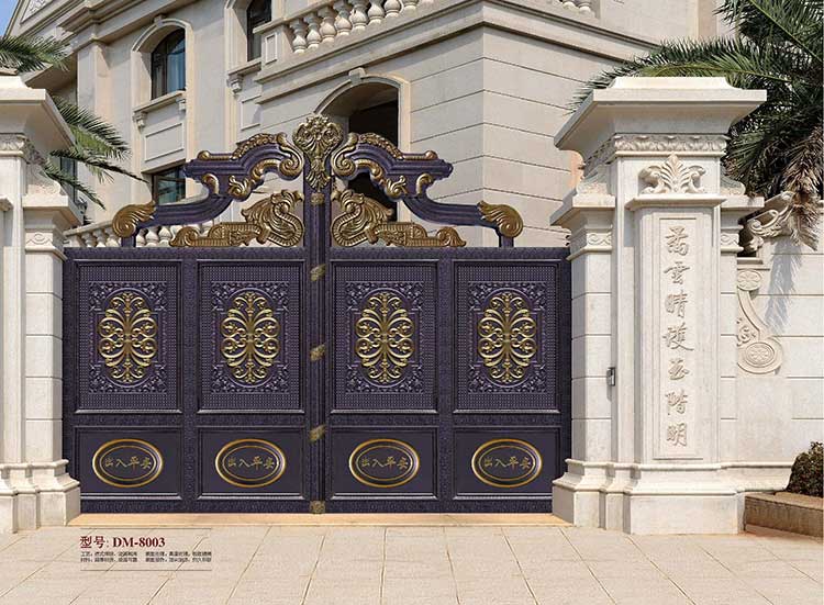 钢艺大门DM8003