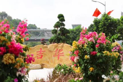 吉华街道办事处