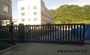 桦甸市达顶土特产公司平移门
