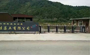鸿鹏物流有限公司