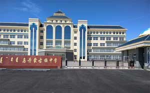 乌丹镇蒙古族中学电动伸缩门工程