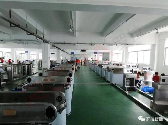 罗拉智能速通门