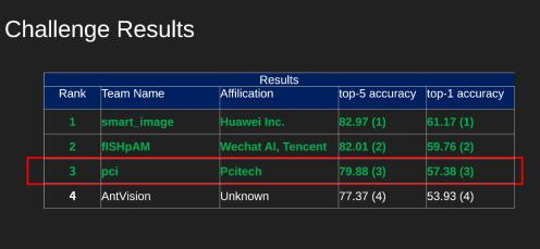 佳都科技在WebVision 2020图像分类竞赛获得全球第三名