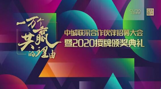 中国城市房地产开发商策略联盟