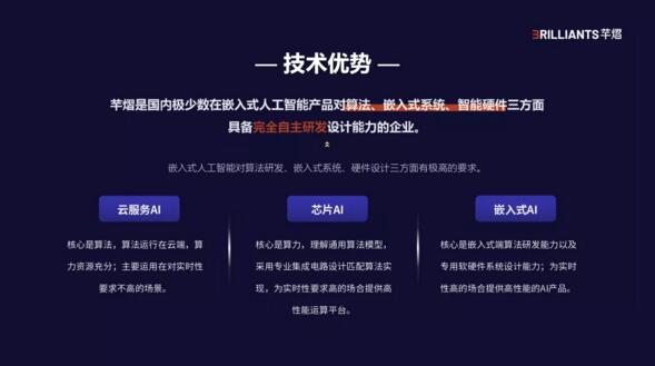 技术优势
