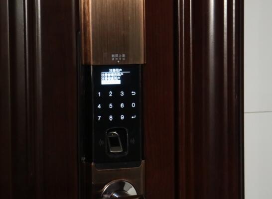 亚太天能T109数字面板上方是超大的OLED单色屏幕