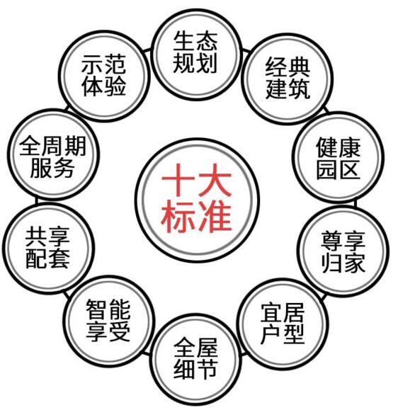 十大标准