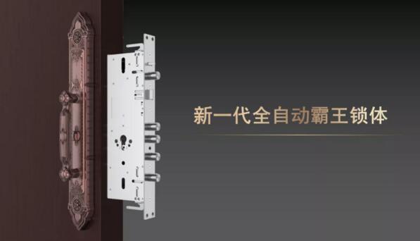 新一代全自动霸王锁体