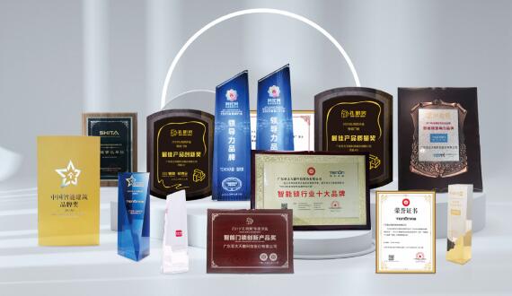 【荣誉证书节选】