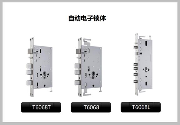 亚太天能专利机电一体化全自动锁体系列
