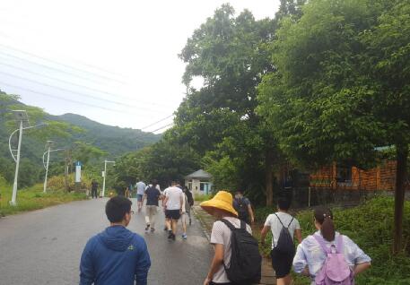 金科选择了马峦山郊野公园一日游