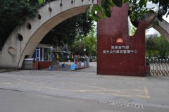西南油氣田分公司南充管理中心車(chē)輛管理系統(tǒng)案例