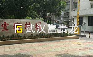 宜城規(guī)劃道閘案例